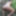 Tygra slut nude in the forest of the Robertsau. #59