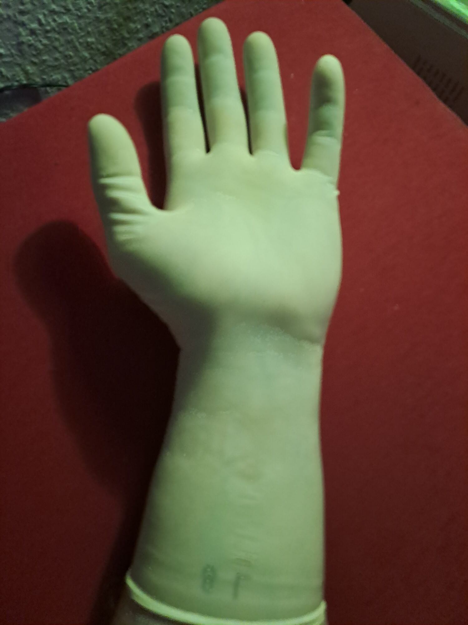 Latex Gloves  #7
