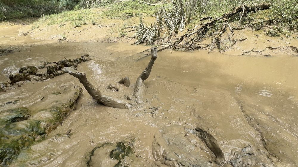 SHOT - BURIED IN MUD ! #10