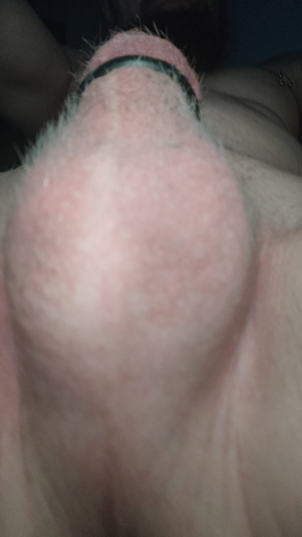 Cock with Ring #2