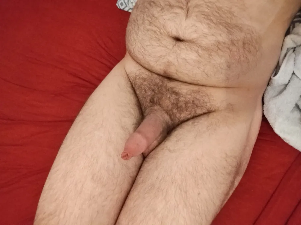 Bear on bed #3