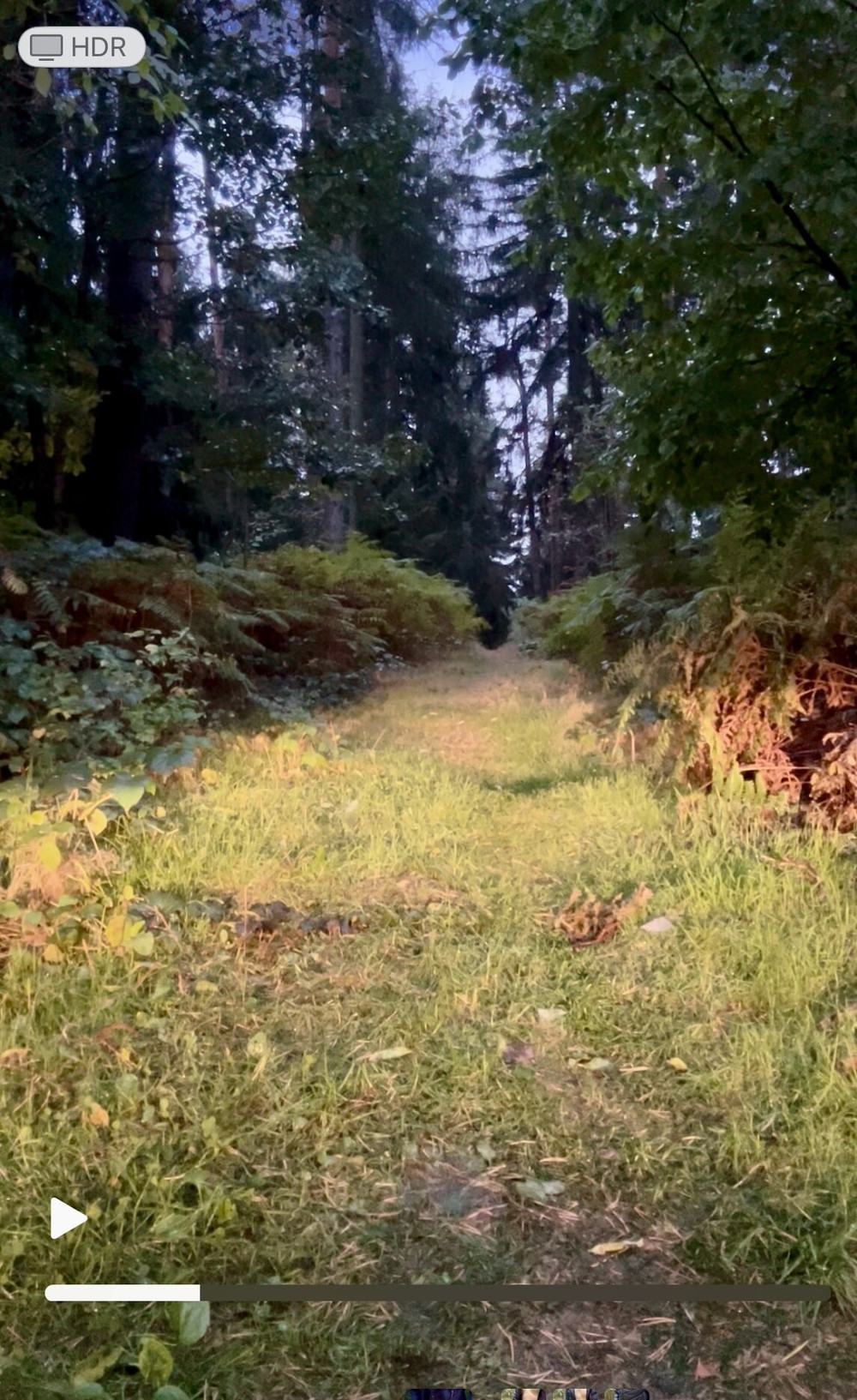 Ausgeraubt im Wald bis auf splitternackt! #5