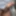 Ein paar Fotos 