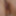 Flash My Tits and Shake My Ass  #10
