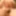 Some cock pictures