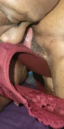 licking pussy ass and panty         