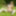 Innocent teen posing in hot nude erotica photo gallery #14