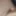 More Small Cock