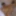 Secretly masturbating in the tub