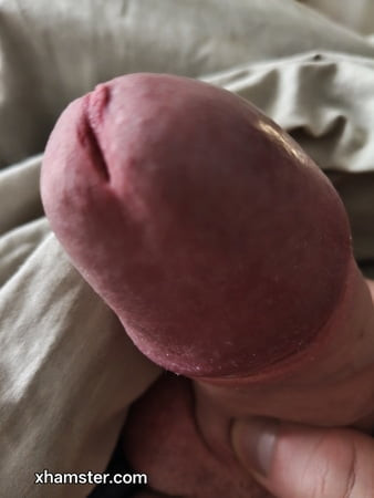 내 자지
