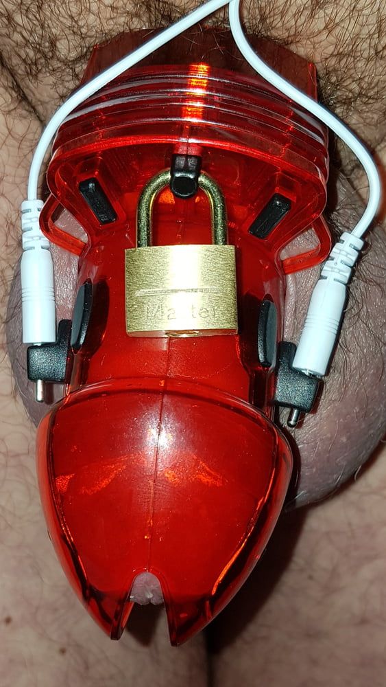 Chastity cage #13
