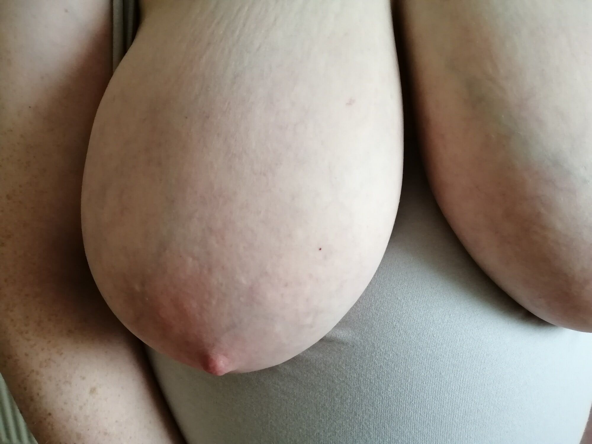 Good-quality photos of my tits #4