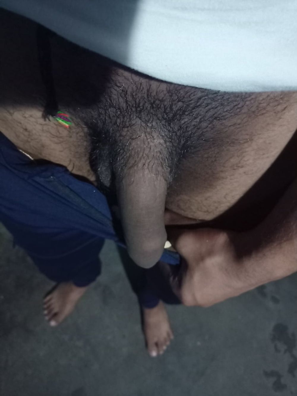 Penis  #2