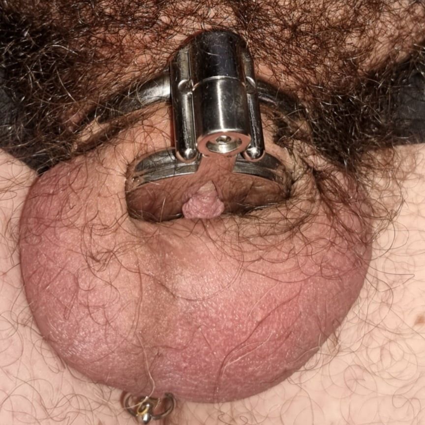 MY NEW CHASTITY CAGE #9