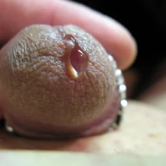 Cute little cock with precum
