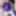 N?glig? purple and Pantyhose white