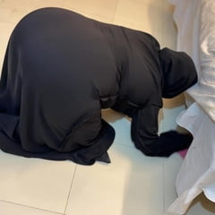 Arabian Big Ass!