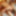 Private german swinger ganbgang with 3 girls &amp; 22 men - 2 #48