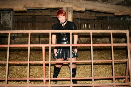 hot images in the cowshed         