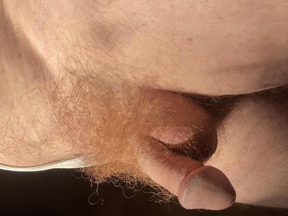 My hairy flaccid cock #14