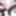 Bondex total nylon encasement #18