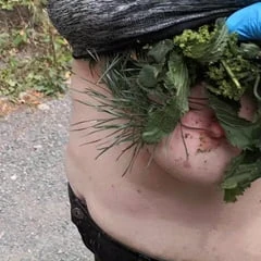 Nettles and other stuff in my bra and slip