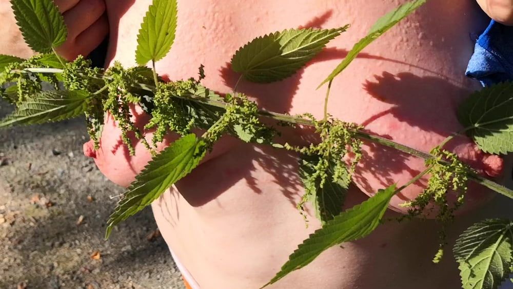 Put some nettles in my bra #2