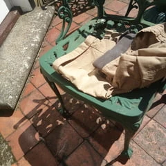 Fun in the Sun