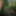 Jungle fun #4