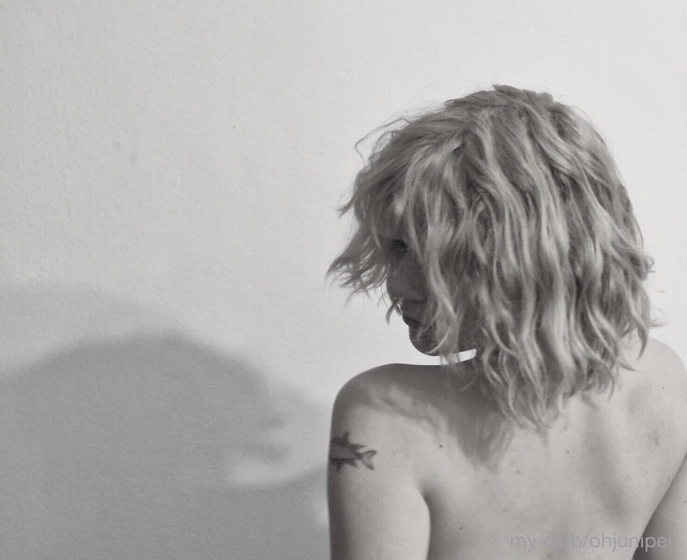 Juniper Free Photos #9