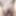 hairy pussy of my big tits wife