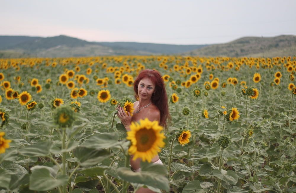Sunflowers #14