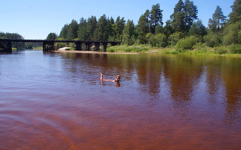 In water of Loch-river #6