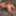 ElongatedCompany31 Solo ass fuck with a cucumber - Pictures 