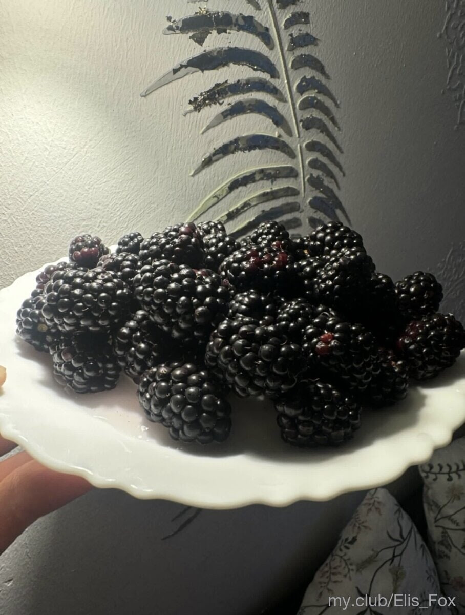 Alice Free Photos #36