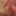 dripping pussy close-ups