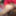 Virgin ass of an 18 year old student boy #16