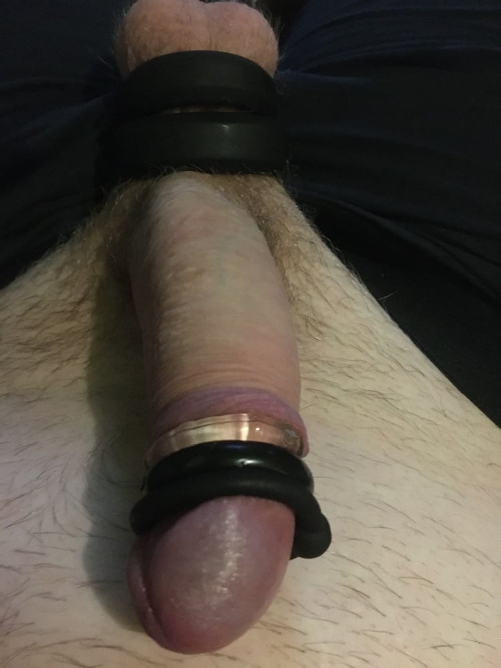 Cock Head and Balls With Rings #3