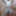 Compilation - My best Nudes without Erection - Part 03 #25