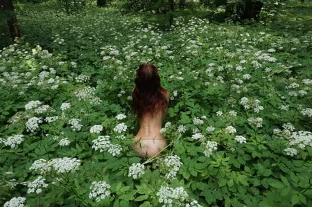 in white flowers           