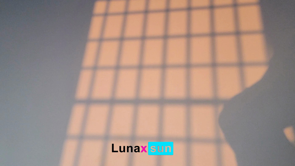 Luna's Daily Vlog #42