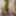 Amateur crossdresser Kellycd2022 holiday in white stockings #8