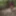 Sneak Peek: OnlyFans Tease--See What You’re Missing 😈 #2