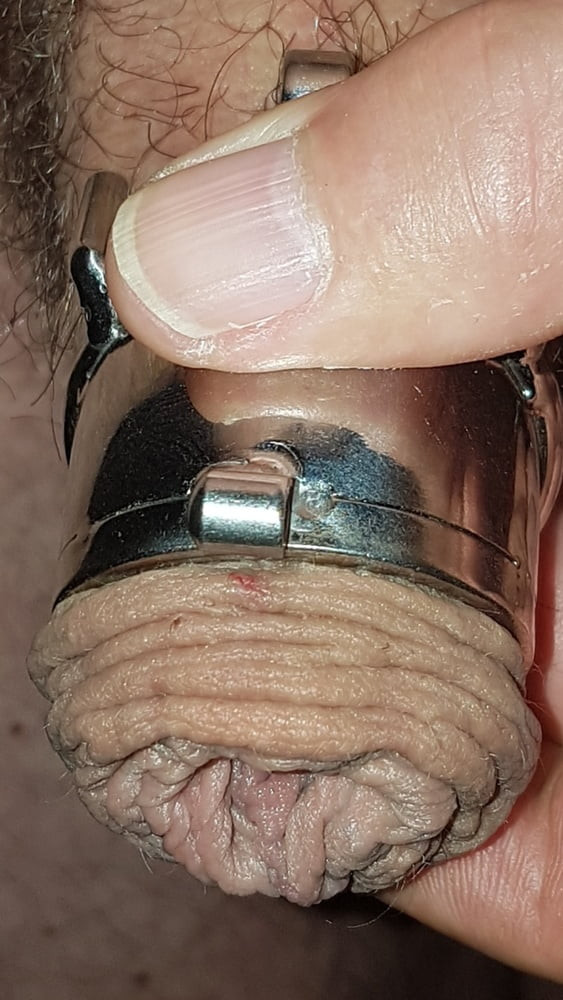 Chastity cage #48