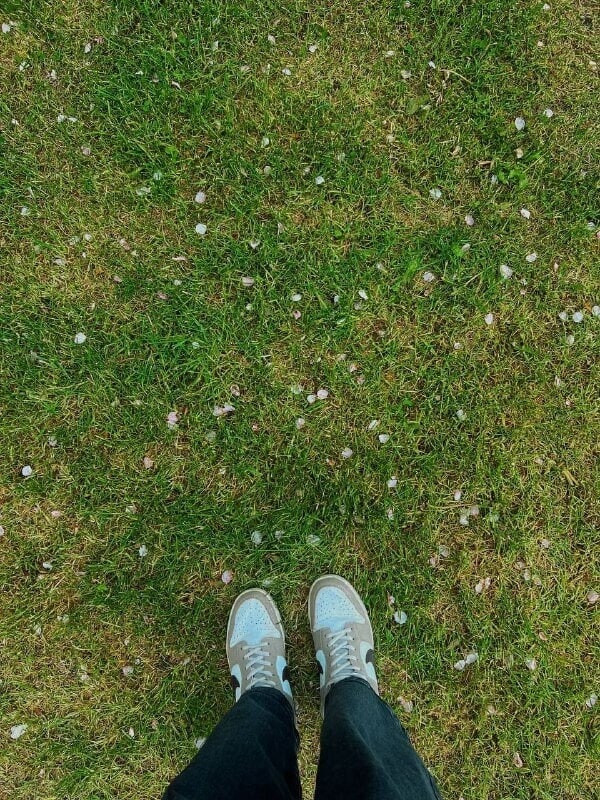 Millie Free Photos #13