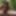Cum pig in woods gets creampie