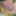 Glans #6