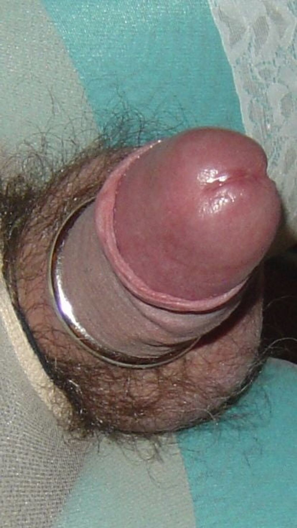 Cock ring #6