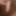 Cock