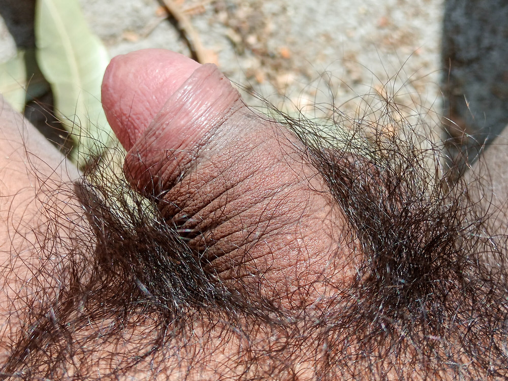 My nice flaccid penis after 9 months without shaving #4
